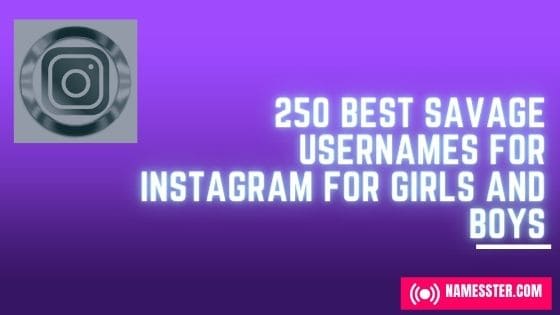 250-savage-usernames-for-instagram